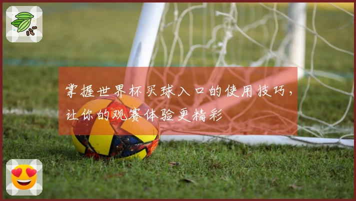 掌握世界杯买球入口的使用技巧，让你的观赛体验更精彩