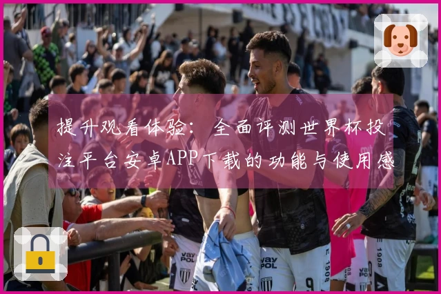 提升观看体验：全面评测世界杯投注平台安卓APP下载的功能与使用感受