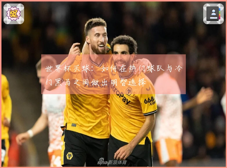 世界杯买球：如何在热门球队与冷门黑马之间做出明智选择