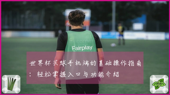 世界杯买球手机端的基础操作指南：轻松掌握入口与功能介绍