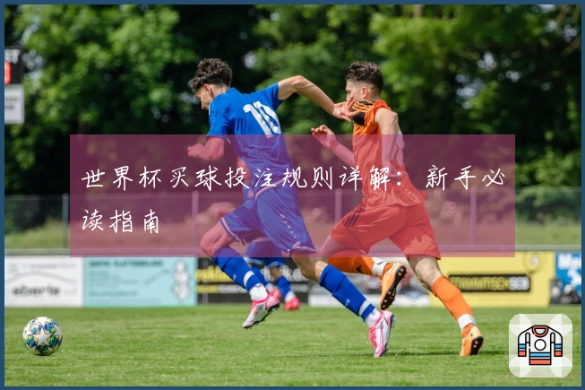 世界杯买球投注规则详解：新手必读指南