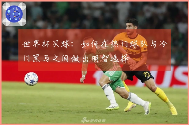 世界杯买球：如何在热门球队与冷门黑马之间做出明智选择