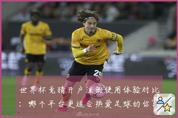 世界杯竞猜开户注册使用体验对比：哪个平台更适合热爱足球的你？