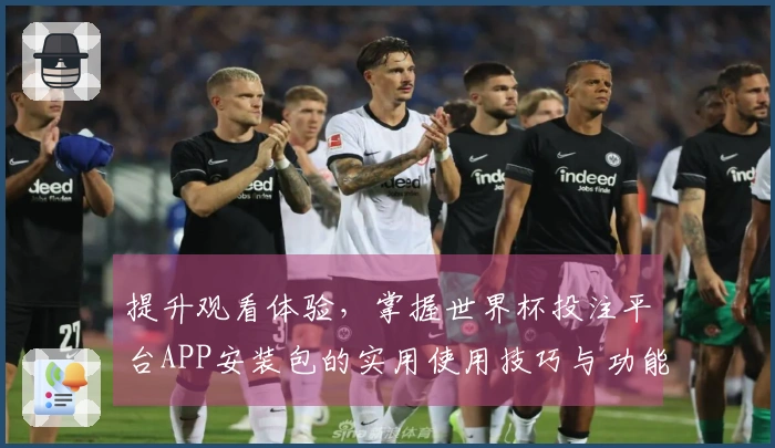 提升观看体验，掌握世界杯投注平台APP安装包的实用使用技巧与功能介绍