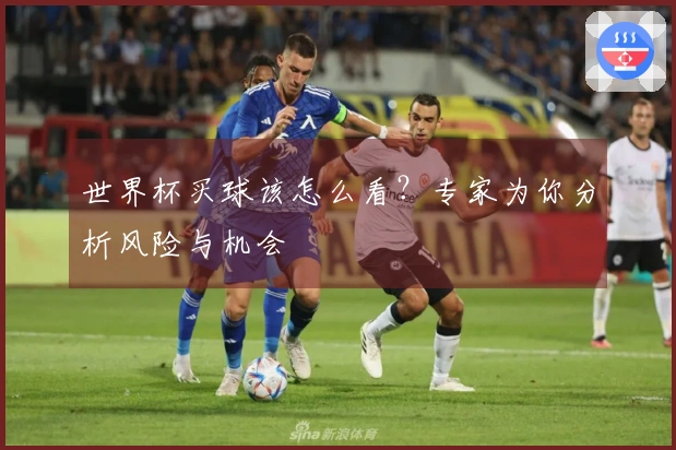 世界杯买球该怎么看？专家为你分析风险与机会