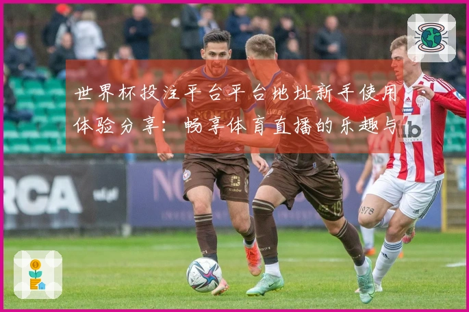 世界杯投注平台平台地址新手使用体验分享：畅享体育直播的乐趣与便利