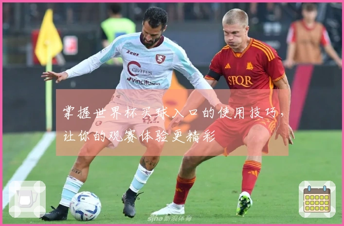 掌握世界杯买球入口的使用技巧，让你的观赛体验更精彩