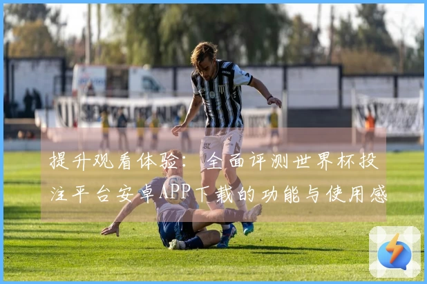 提升观看体验：全面评测世界杯投注平台安卓APP下载的功能与使用感受