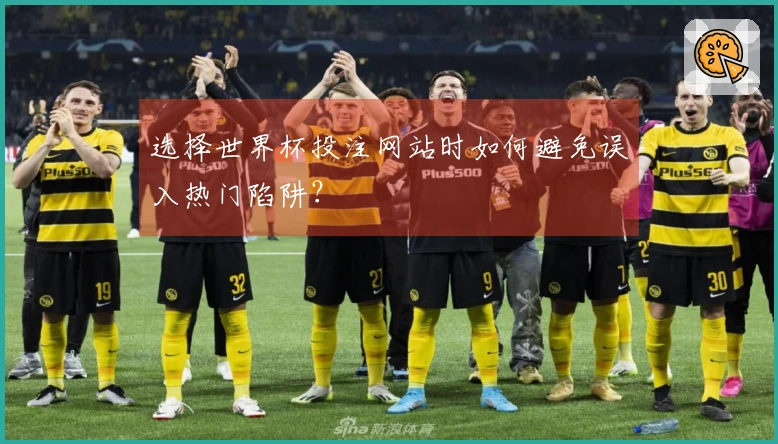 选择世界杯投注网站时如何避免误入热门陷阱？