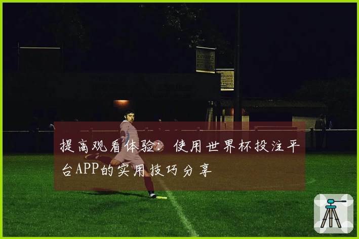 提高观看体验：使用世界杯投注平台APP的实用技巧分享