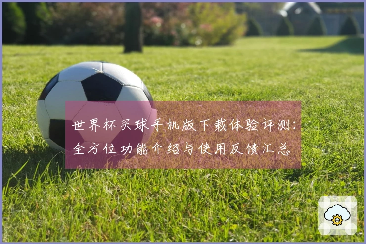 世界杯买球手机版下载体验评测：全方位功能介绍与使用反馈汇总