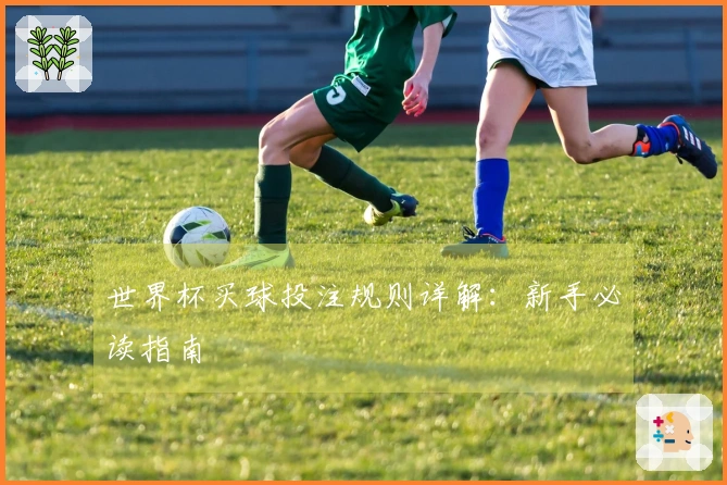 世界杯买球投注规则详解:新手必读指南
