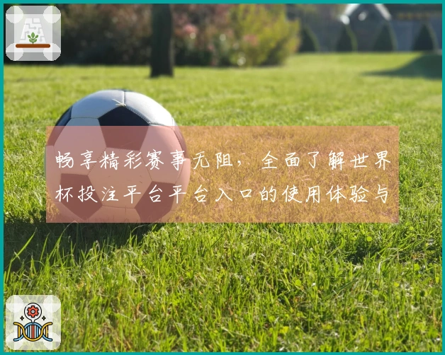 畅享精彩赛事无阻，全面了解世界杯投注平台平台入口的使用体验与功能介绍