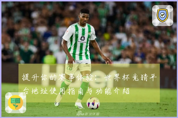 提升你的赛事体验：世界杯竞猜平台地址使用指南与功能介绍