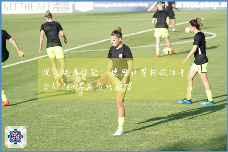 提高观看体验：使用世界杯投注平台APP的实用技巧分享
